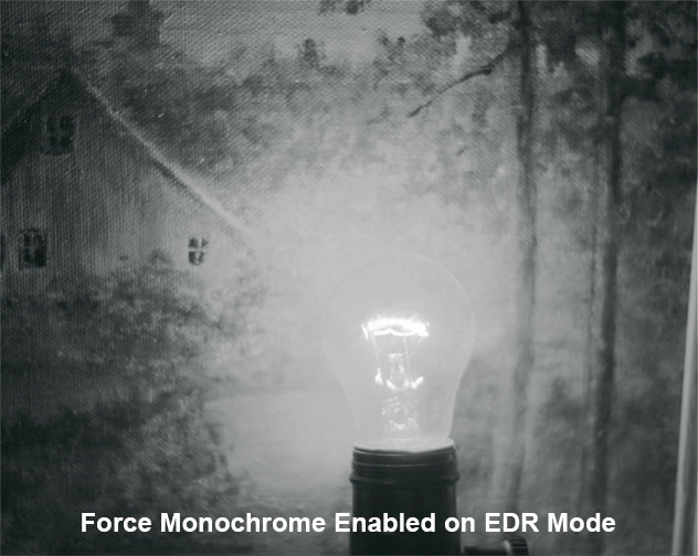 edgertronic EDRMono