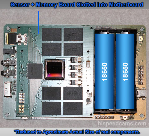 fps1000actualsizeboard