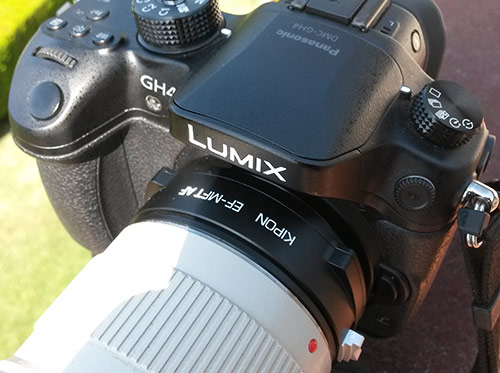 GH4KiponMounted