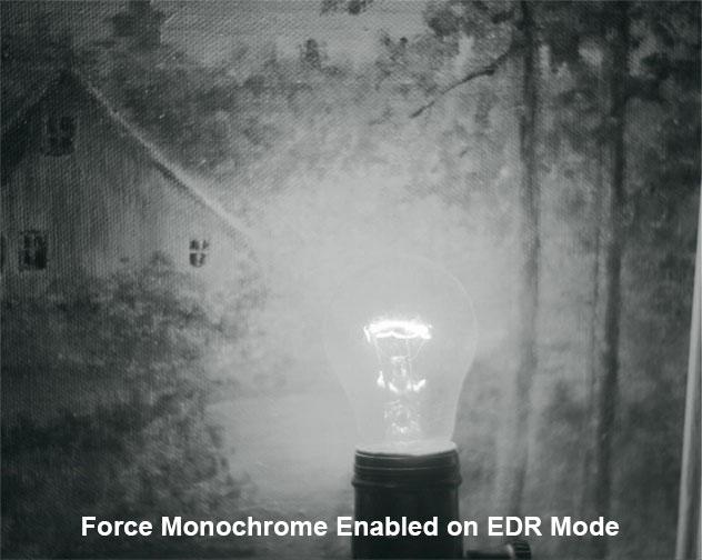 edgerEDRMono