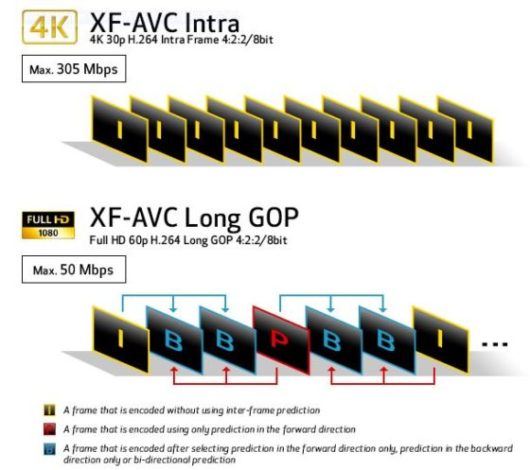 EOS_XC15Codec