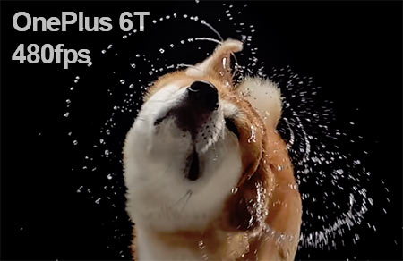 OnePlus 6T Slow Motion Dog